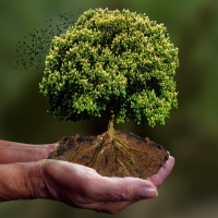 Duurzaam ondernemen: bouw aan een sterker bedrijf