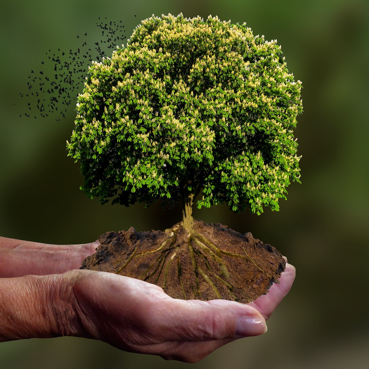 Duurzaam ondernemen: bouw aan een sterker bedrijf